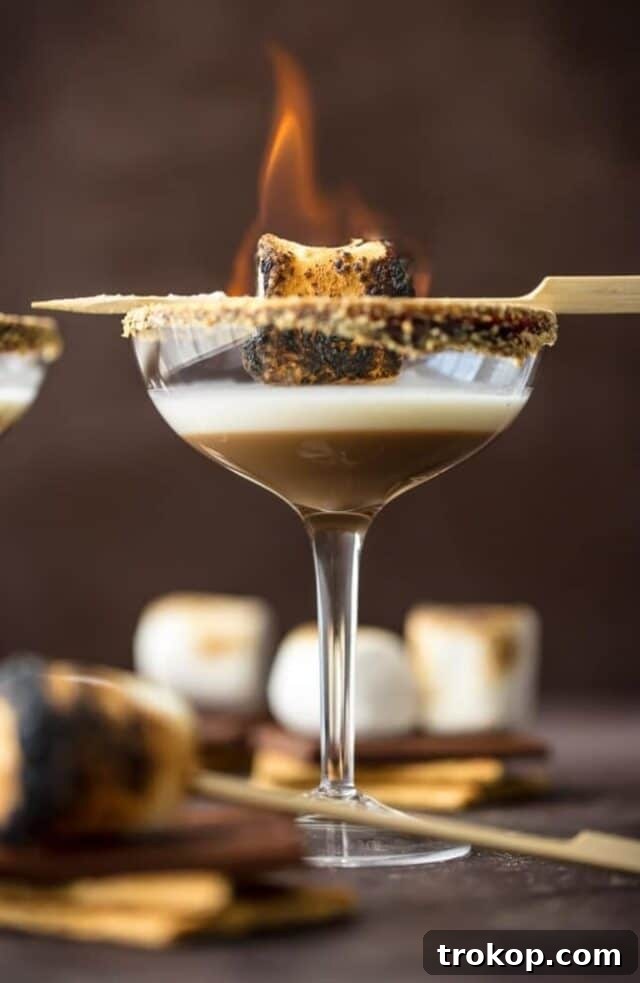 28 Ingenious and Effortless Marshmallow Treats 27 Toasted S’more Martini