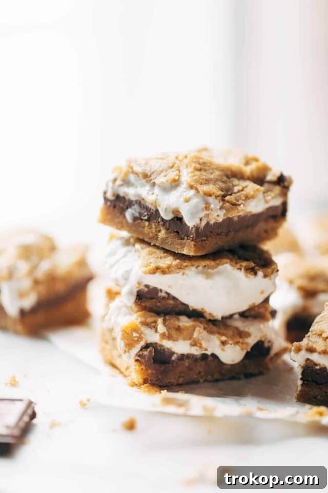 28 Ingenious and Effortless Marshmallow Treats 6 S’mores Bars for marshmallow recipes