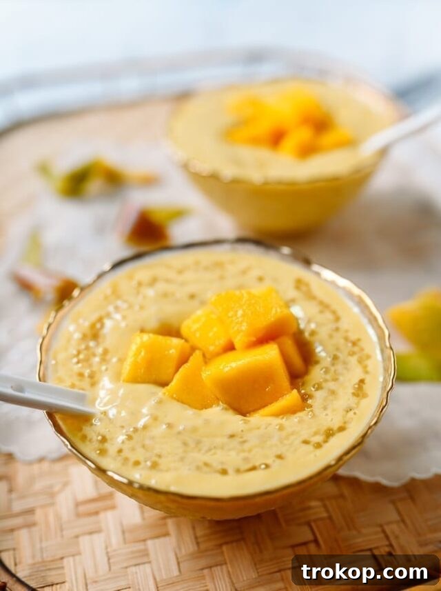 Mango Sago recipe, a creamy dessert with tapioca pearls and mango chunks.