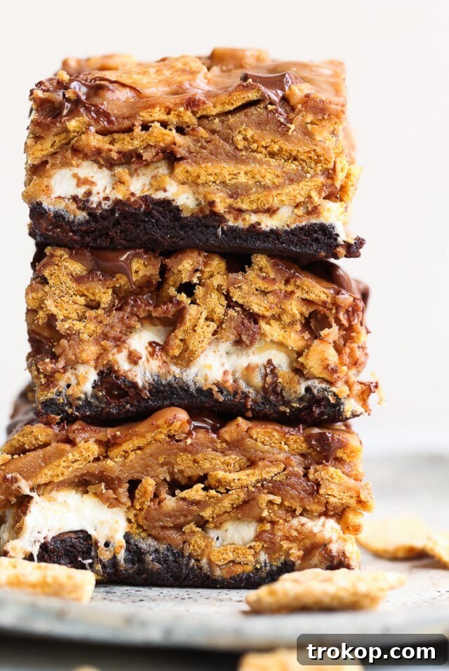 Crave-Worthy Peanut Butter Desserts You Need to Bake 9 Peanut butter s'mores brownies with a visible swirl of peanut butter, melted marshmallows, and chocolate.