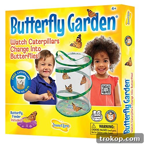 Insect Lore - Butterfly Growing Kit - With Voucher to Redeem Caterpillars Later Insect Lore - Butterfly Growing Kit - With Voucher to Redeem Caterpillars Later
