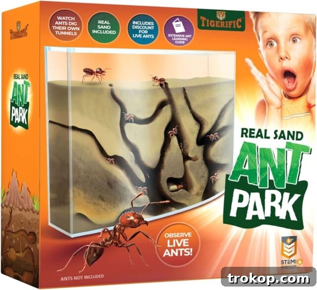30 Gifts for Brothers and Sisters to Enjoy Together 11 Ant Farm for Live Ants - Real Sand Ant Colony Kit for Kids -Fun Science Habitat Set for Children, Watch Ants Dig Tunnels, Carry Sand, Hide and Drag Their Food for gifts for siblings to share