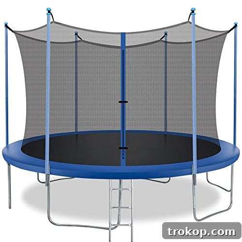 8FT Trampoline with Enclosure Net Outdoor Jump Rectangle Trampoline - ASTM Approved-Combo Bounce Exercise Trampoline with PVC Spring Cover Padding for Kids and Adults,Blue 8FT Trampoline with Enclosure Net Outdoor Jump Rectangle Trampoline - ASTM Approved-Combo Bounce Exercise Trampoline with PVC Spring Cover Padding for Kids and Adults,Blue