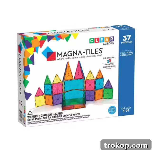 30 Gifts for Brothers and Sisters to Enjoy Together 5 gifts for siblings to share - magna tiles by ashley rose of sugar & cloth