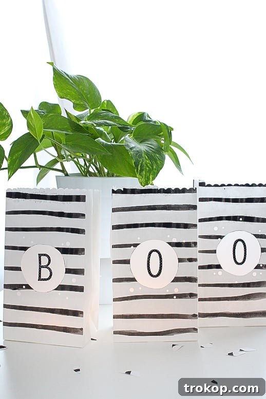 DIY waterproof outdoor lantern bags