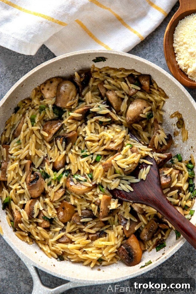 Savory Orzo with Mushrooms, Scallions and Parmesan, a rich pasta side