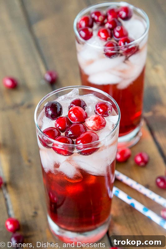 25 Easy & Festive Christmas Cocktails for Holiday Merriment 15 Holiday Wine Spritzer, a refreshing red drink in a wine glass with cranberries.