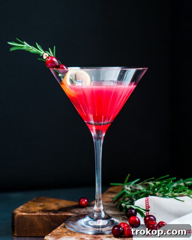 25 Easy & Festive Christmas Cocktails for Holiday Merriment 9 Christmas Martini for Christmas cocktail recipes, a vibrant red drink in a martini glass with festive garnishes.