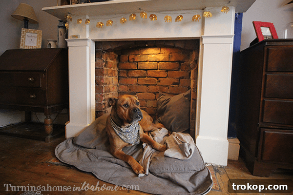 Cozy dog bed inside an empty fireplace, creating a pet haven.