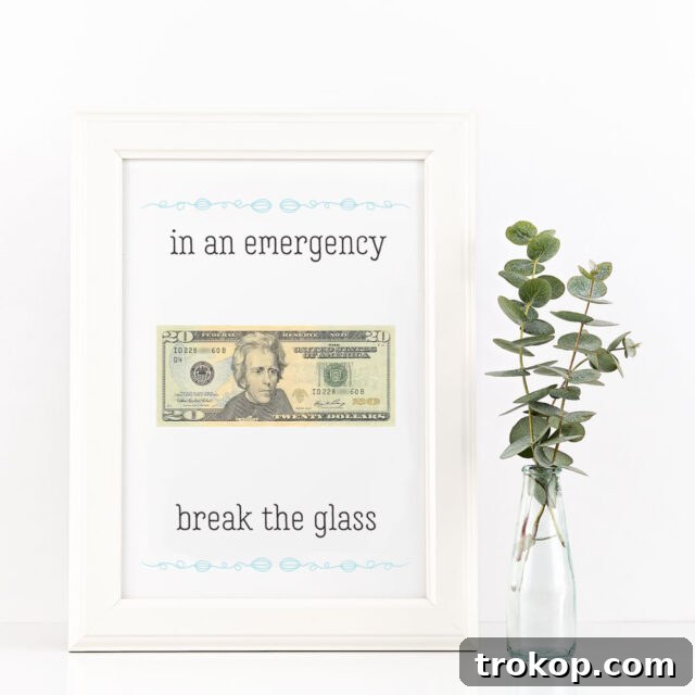"In an Emergency Break the Glass" Money Frame with bills inside