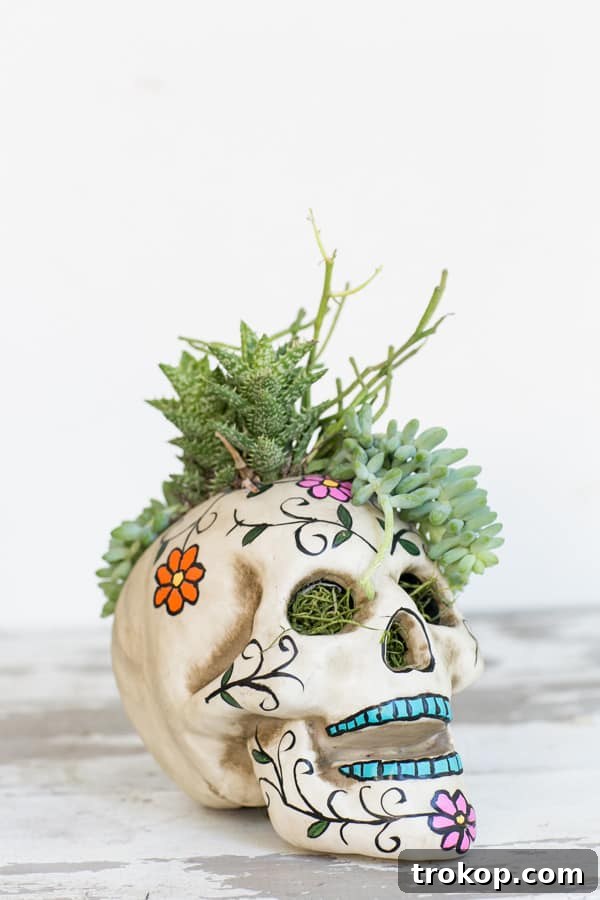 Easy Skull Planter – A Halloween Centerpiece
