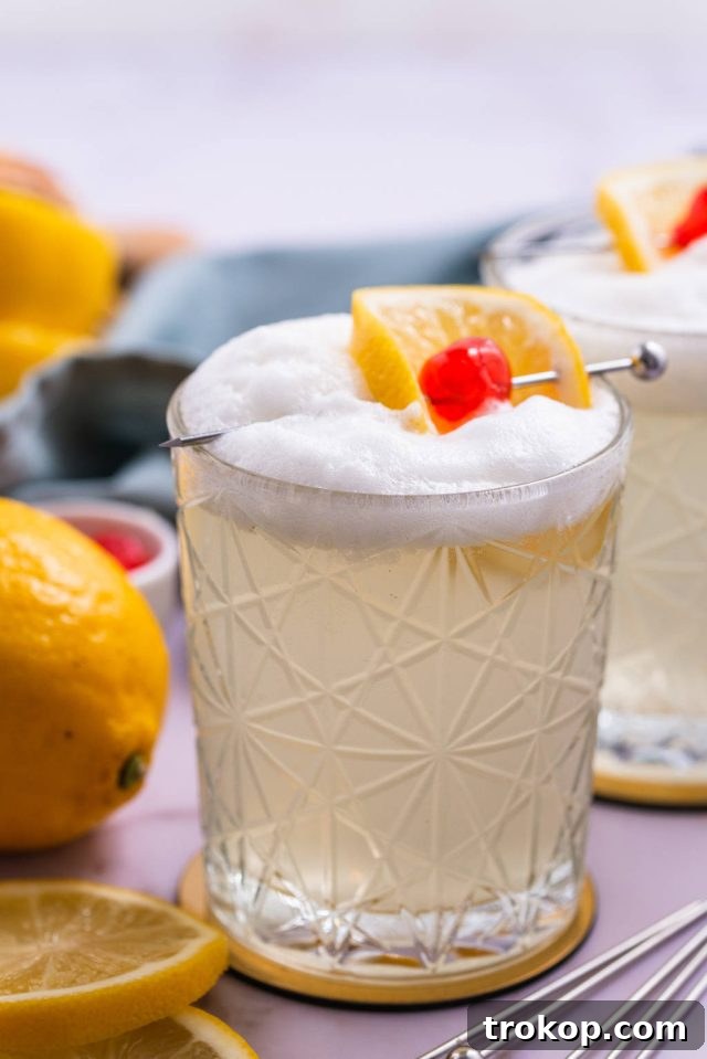 Best Vodka Sour recipe by Sugar and Cloth, garnished with a lemon slice and cherry