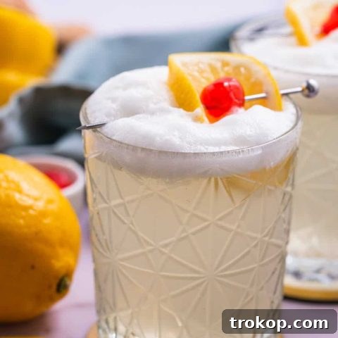 Best Vodka Sour recipe by Sugar and Cloth