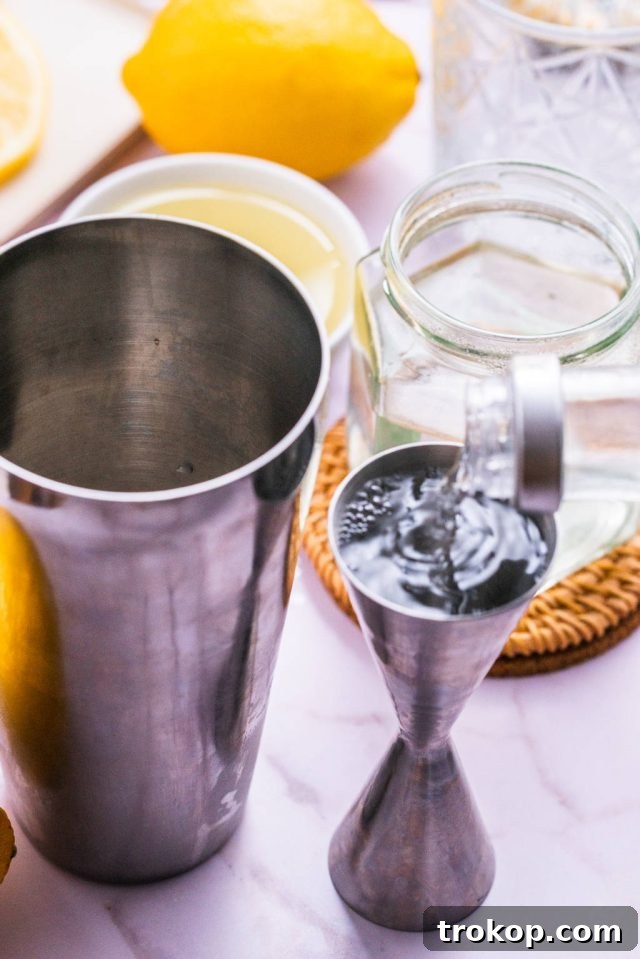 Essential bar equipment for making a Vodka Sour, including a shaker, jigger, and strainer