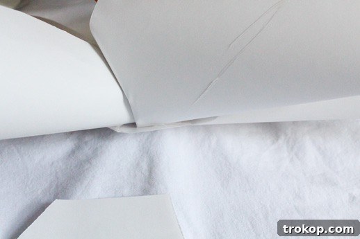 DIY Beautiful Paper Flower Wall 5 Materials for DIY Paper Flower Backdrop