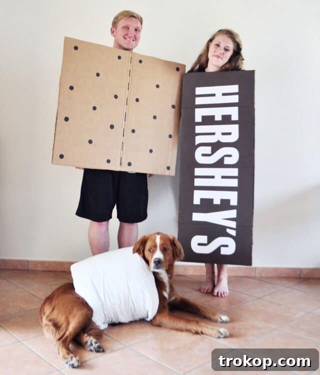 22 Pawsome Matching Halloween Costumes for Couples and Their Dogs 16 S'mores Halloween costume with a couple as graham crackers and chocolate, and their dog as a marshmallow.
