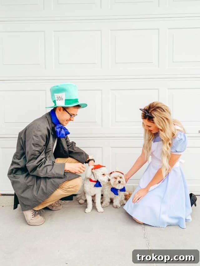 22 Pawsome Matching Halloween Costumes for Couples and Their Dogs 18 Alice in Wonderland Halloween costume featuring Alice, the Mad Hatter, and two dogs as Tweedle Dee and Tweedle Dum.