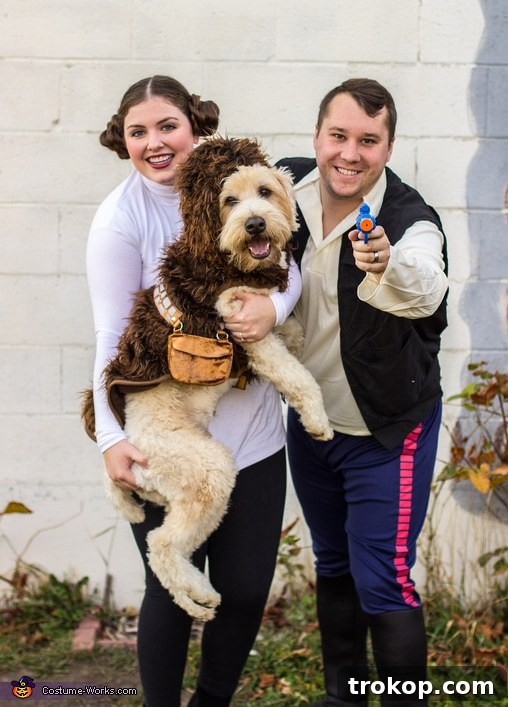 22 Pawsome Matching Halloween Costumes for Couples and Their Dogs 6 Star Wars themed Halloween costume featuring Chewbacca, Han Solo, and Princess Leia for a couple and their dog.