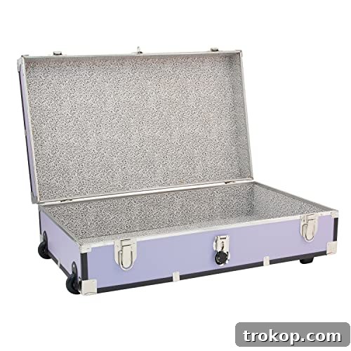 Maximize Space with Smart Under Bed Shoe Storage 5 31 in. Seward Under the Bed Trunk with Wheels & Lock