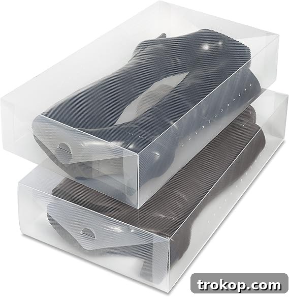 Maximize Space with Smart Under Bed Shoe Storage 6 Under Bed Boot Storage