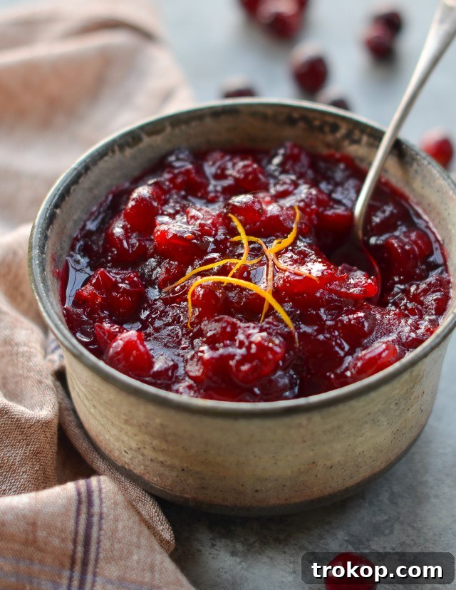 Elevate Your Thanksgiving Dinner Unforgettable Recipes 21 Cranberry sauce recipe for thanksgiving food ideas