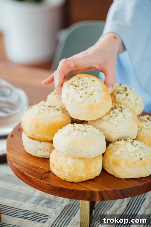 Elevate Your Thanksgiving Dinner Unforgettable Recipes 27 Garlic Cheese Biscuits Recipe with Boursin Cheese by Sugar & Cloth