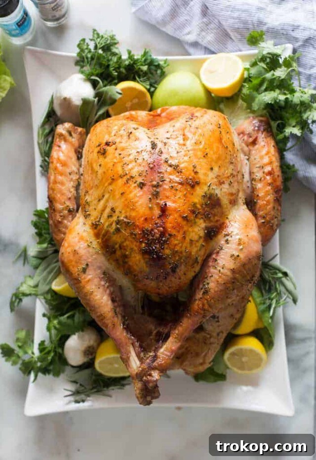 Elevate Your Thanksgiving Dinner Unforgettable Recipes 4 Easy, No-Fuss Thanksgiving Turkey