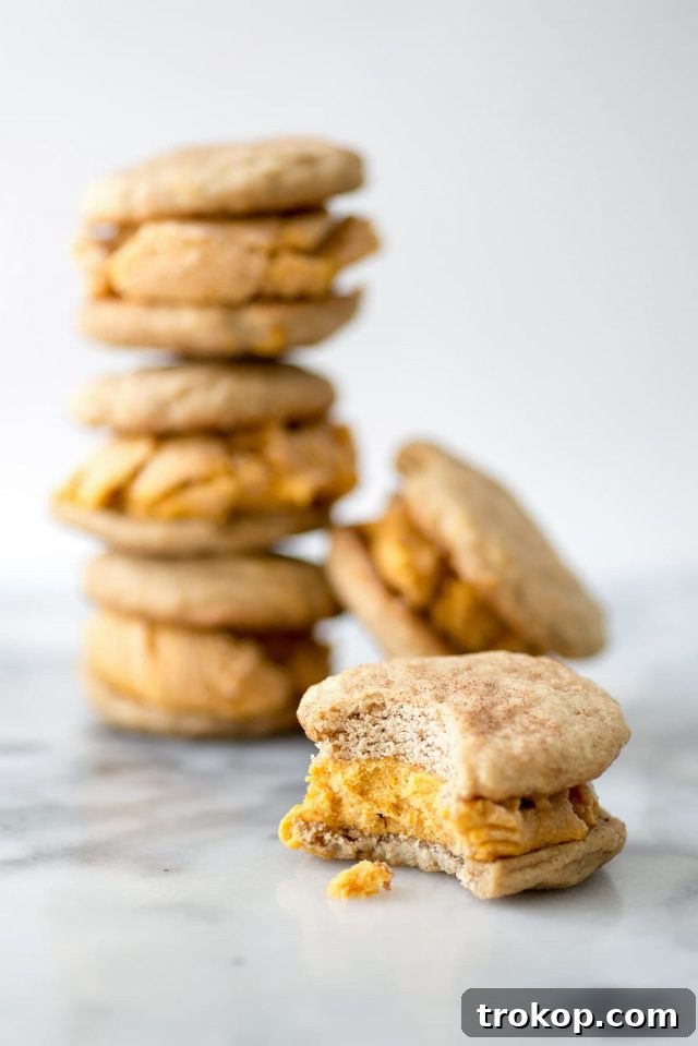 Elevate Your Thanksgiving Dinner Unforgettable Recipes 35 photo of the best fall dessert, Snickerdoodle Pumpkin Ice Cream Sandwiches of by top Snickerdoodle Pumpkin Ice Cream Sandwiches by Houston lifestyle blogger Ashley Rose of Sugar & Cloth