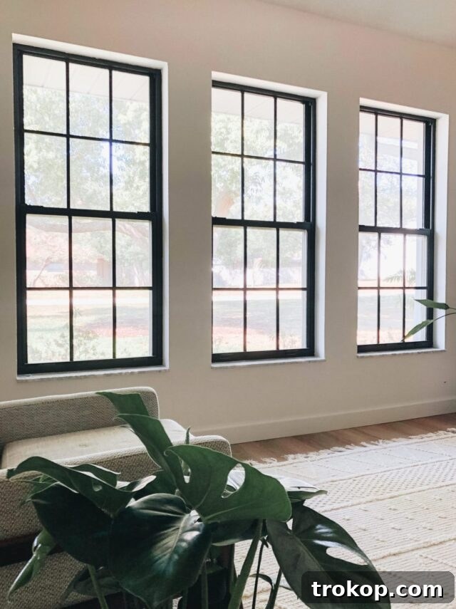 Modern Farmhouse Black Window Trim Ideas