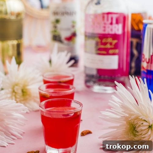 The best Chuck Norris shot recipe by Sugar and Cloth, a vibrant red drink in a shot glass.
