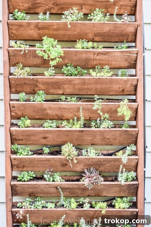 DIY Outdoor Vertical Garden