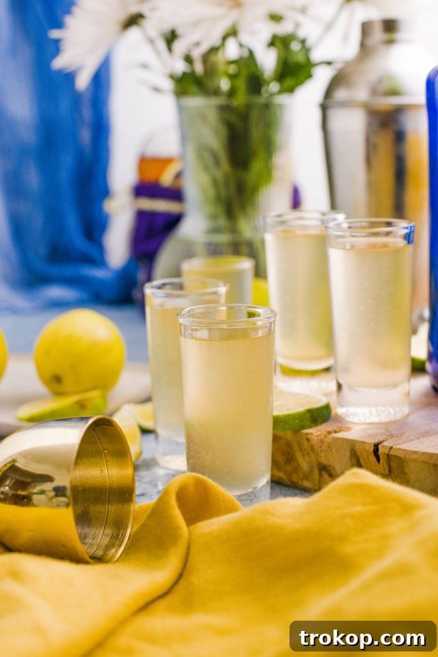 best Water moccasin shot recipe by sugar and cloth