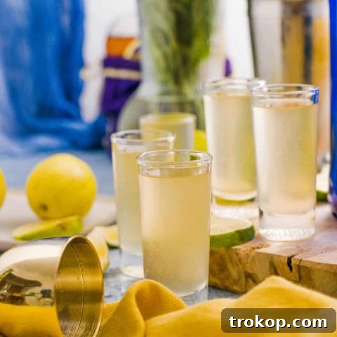 best Water moccasin shot recipe by sugar and cloth