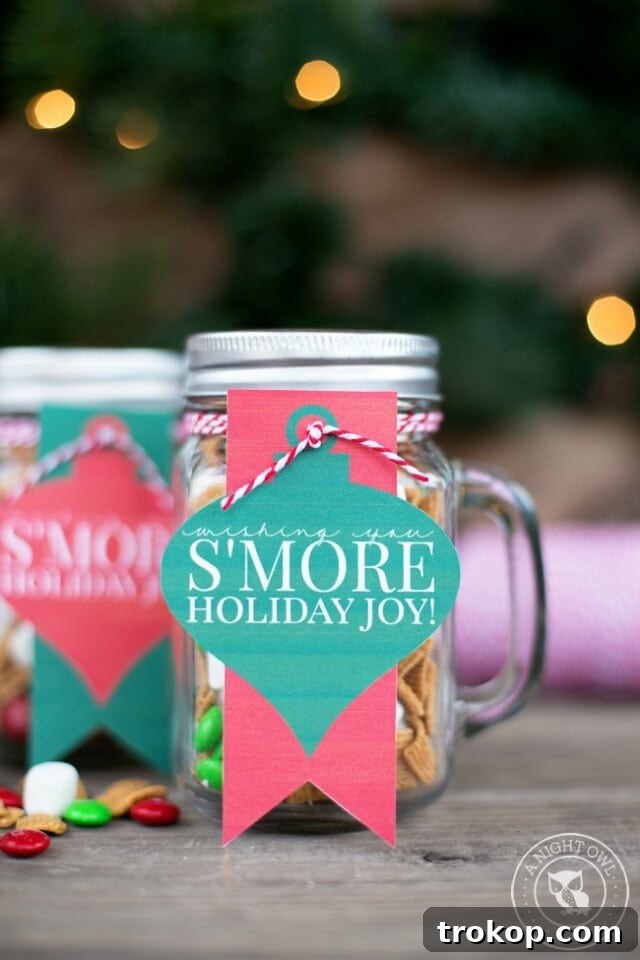 33 Festive Mason Jar Christmas Gift Ideas 12 S’mores Mason Jar Gifts for Christmas Mason Jar Gifts
