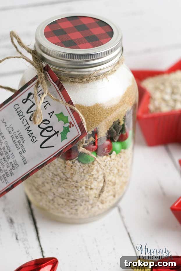 33 Festive Mason Jar Christmas Gift Ideas 13 Gluten Free Gift in a Jar: Monster Cookies in a Jar