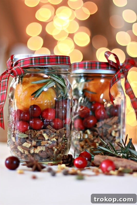 33 Festive Mason Jar Christmas Gift Ideas 19 Christmas Jar Mulling Spice Gift for Mason Jar Gifts for Christmas