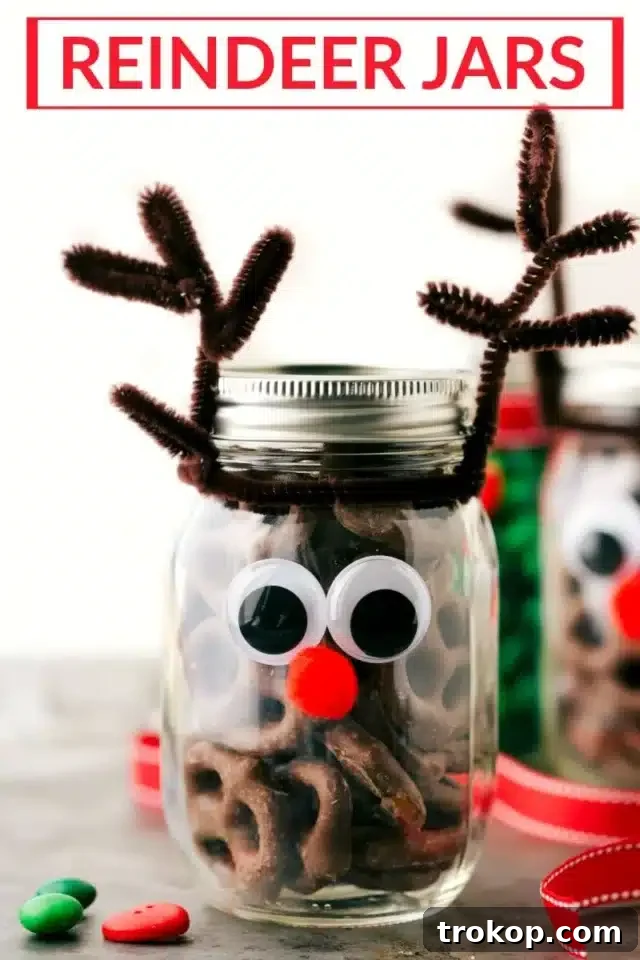33 Festive Mason Jar Christmas Gift Ideas 20 Reindeer Jars for Christmas Mason Jar Gifts