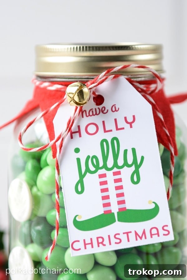 33 Festive Mason Jar Christmas Gift Ideas 24 Elf Christmas Mason Jar Gifts