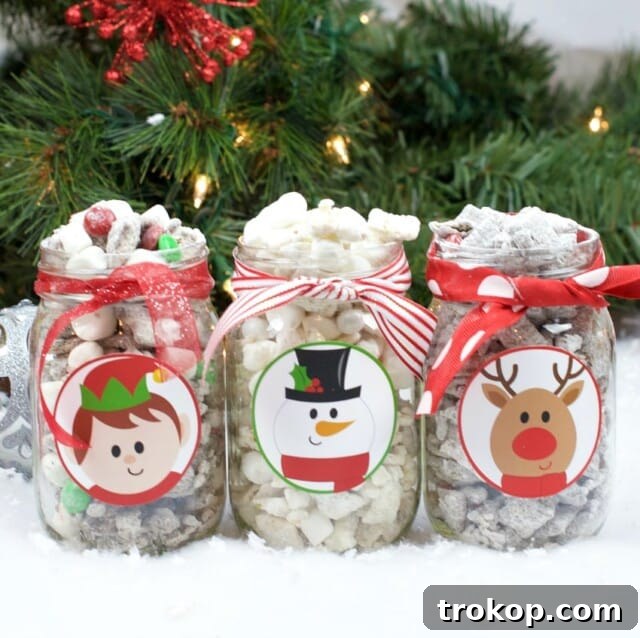 33 Festive Mason Jar Christmas Gift Ideas 25 Christmas Muddy Buddies Recipes & Gift Idea for mason jar christmas gifts