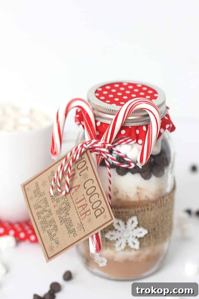 33 Festive Mason Jar Christmas Gift Ideas 26 Hot Cocoa In A Jar Gift