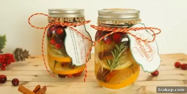 33 Festive Mason Jar Christmas Gift Ideas 9 Cranberry Orange Stove Top Potpourri Gift Jar