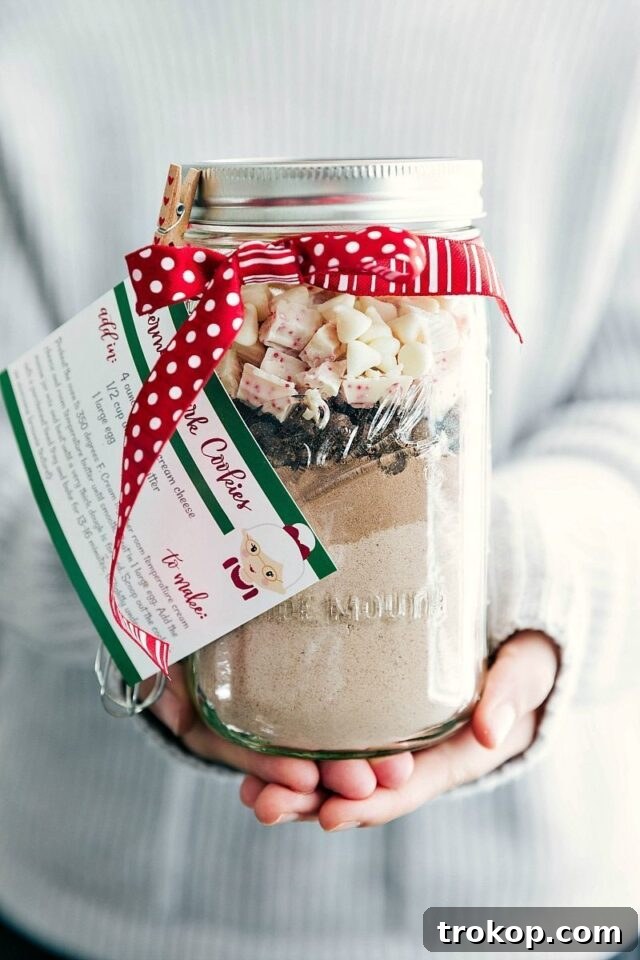 33 Festive Mason Jar Christmas Gift Ideas 10 Chocolate Peppermint Cookies