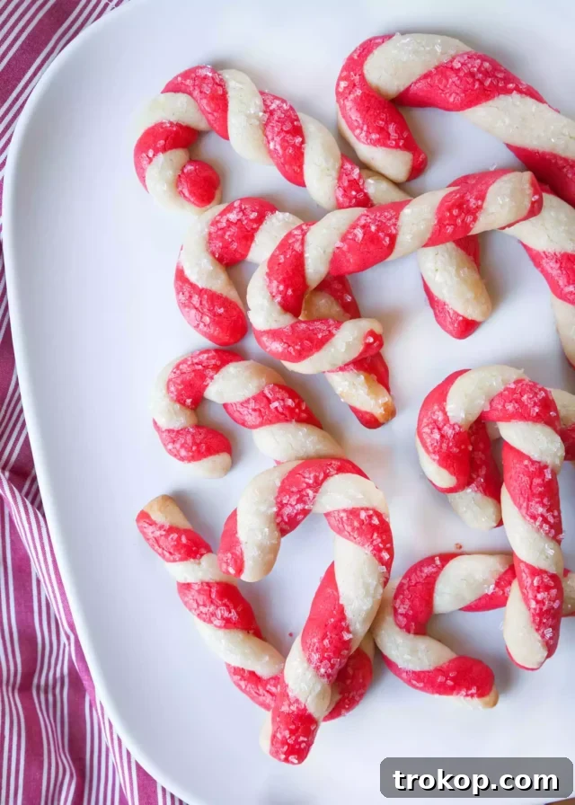 Holiday Cookie Masterclass: Recipes for Delicious Treats and Stunning Displays 25 Beautifully twisted Candy Cane Cookies, striped with red and white dough, and sprinkled with crushed candy canes.