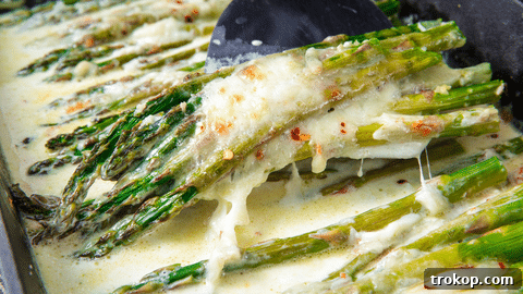 Delicious Cheesy Baked Asparagus, a simple and popular vegetable side for Christmas.