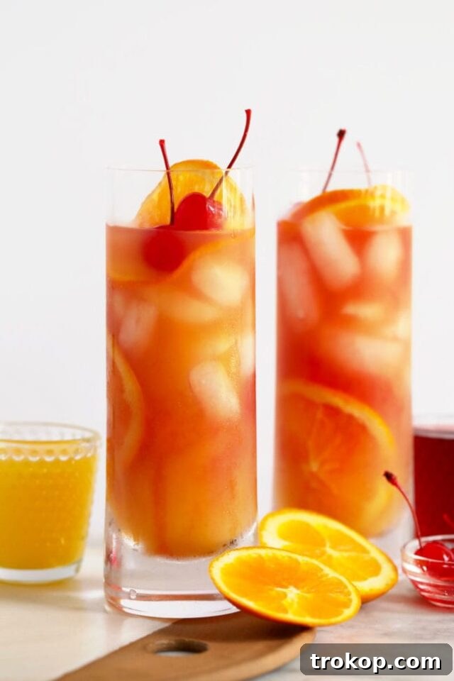 Sex on the Beach Cocktail - Refreshing Tropical Drink