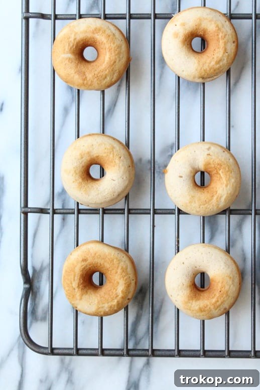 Close-up of Mini Baked Donuts