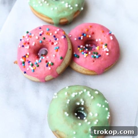 Finished Mini Baked Donuts Ready to Eat