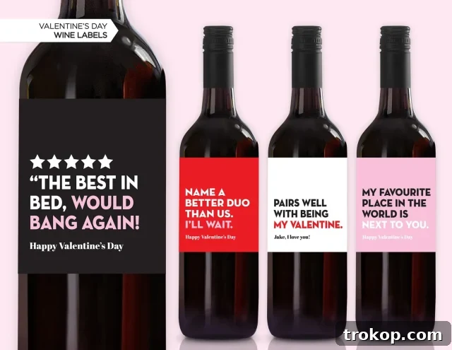 Hilarious Valentine's Gifts for All Your Favorite People 3 Valentine's Day Wine Labels | Valentine's Day Gift | Funny Valentine's Labels | Pairs Well With Being My Valentine | Naughty Valentine