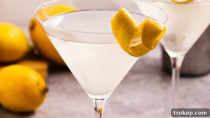 The Ultimate Cocktail - Martini With A Twist Recipe