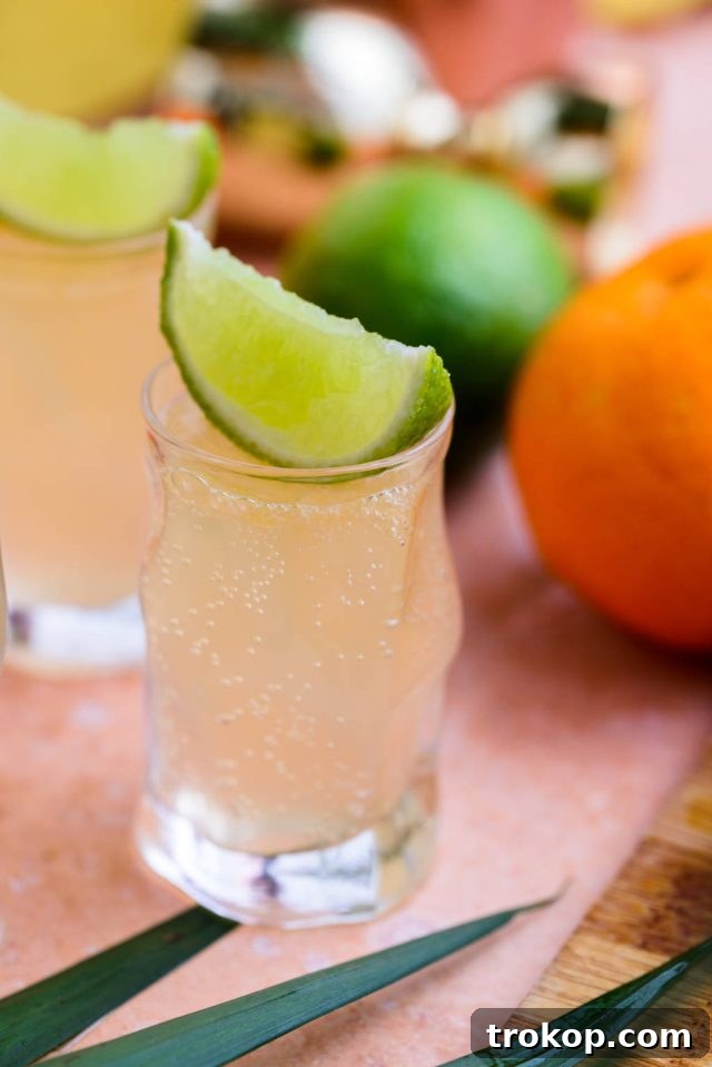 a closer front view shot of the Cactus cooler shot